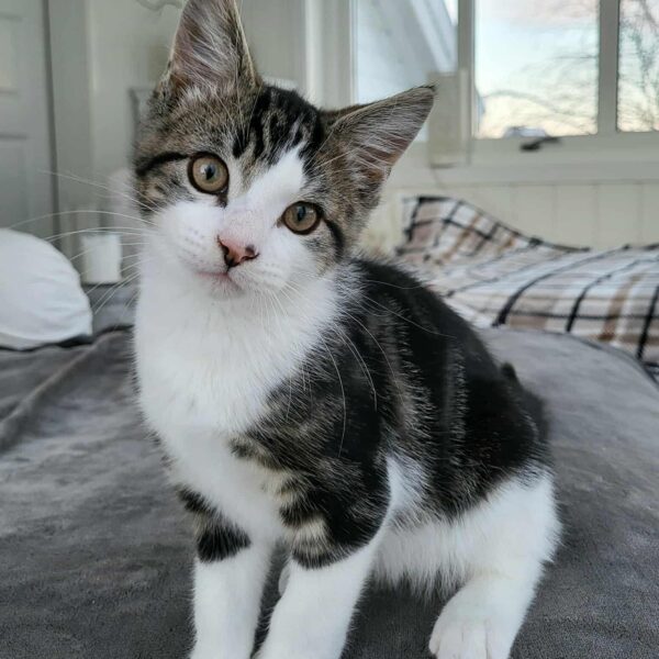 017e660a-0b78-4448-af2d-d0add03d088a