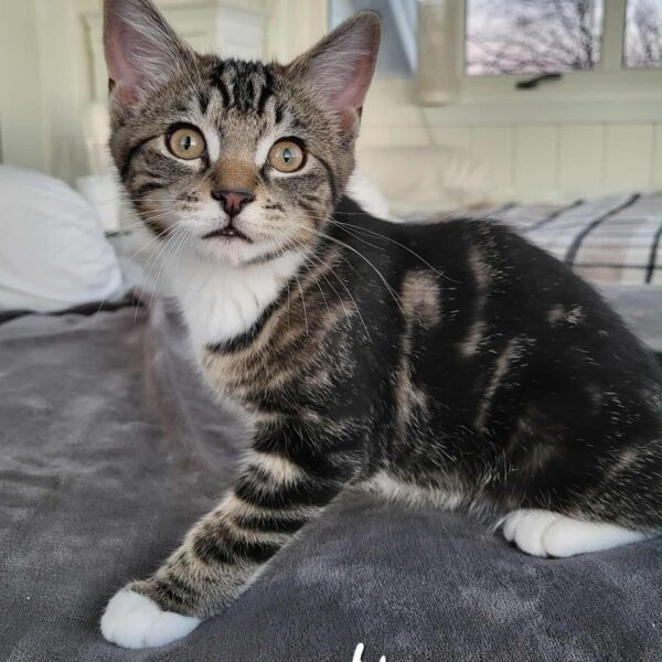 06ed8f5f-58b6-4b4e-b343-81971af80071