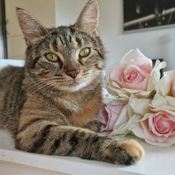 0e09f29e-d5e9-4cdf-8128-049a33857bc9