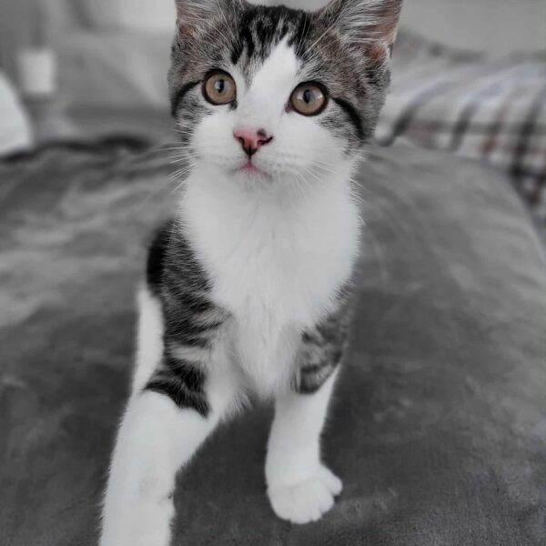 190797ae-ec34-4ea5-967f-0783a5f7b2be