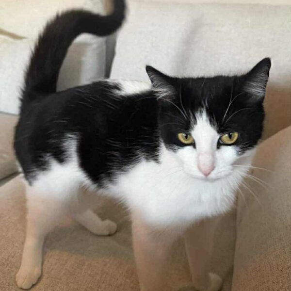 2c7570fb-e523-42c3-a761-4b338dcc1f41