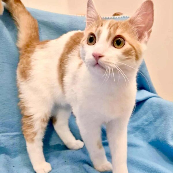 4d7ab002-35e4-40f1-a8aa-d4170a5256f7