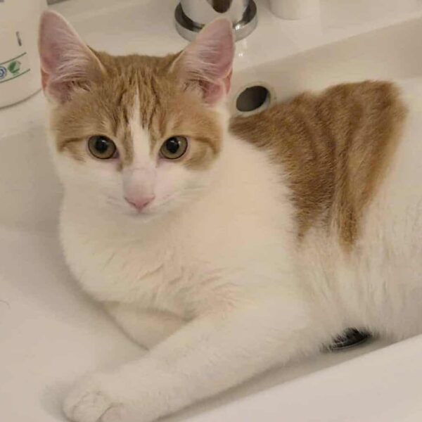 4fa8113a-1416-4c05-9ee6-e489a0fab246