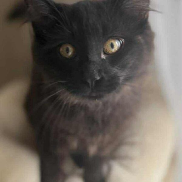 55b7bfbb-37c7-4e25-a8b2-c850ec349ca4