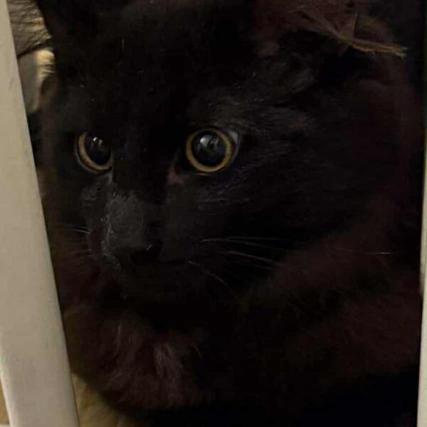 5d61d17d-168b-4ddd-84a5-aa2e37954fa4