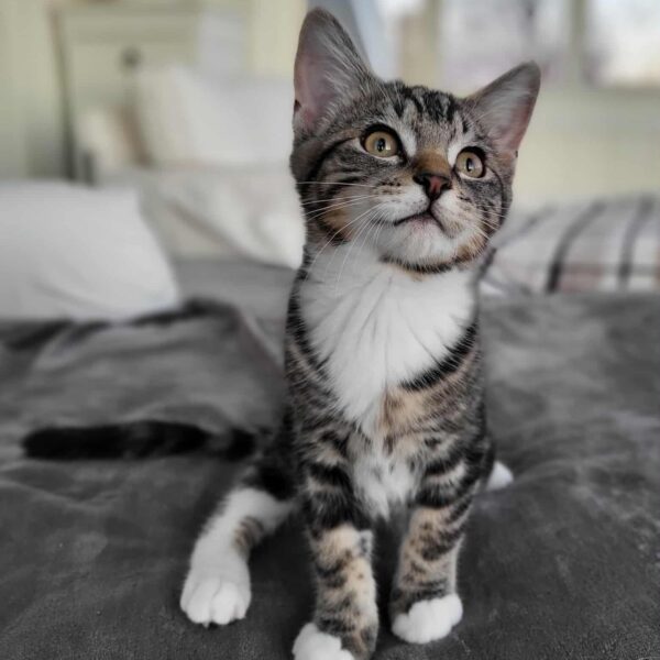 696334d3-62a7-4ed0-80a5-57d736850c7f