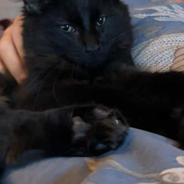 6f56f795-91cb-4da6-86cf-cb1b0f13cb23