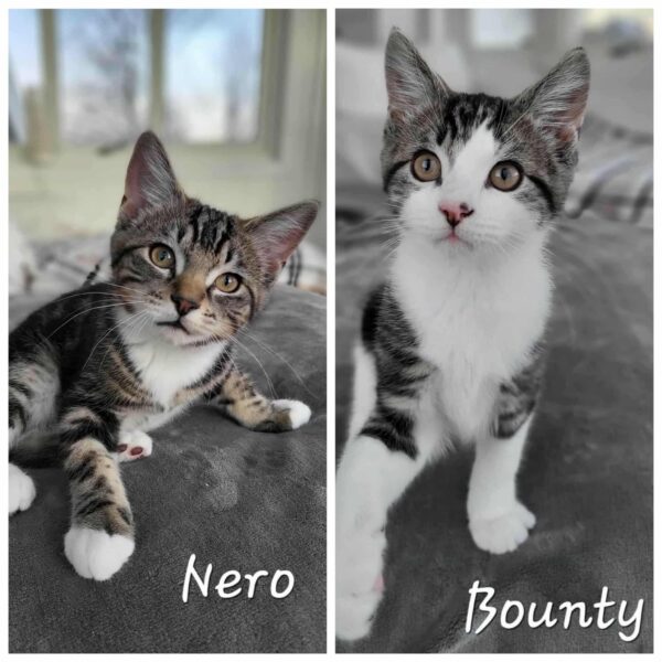 9655f1c9-37c3-43d5-b406-a11c76da392b