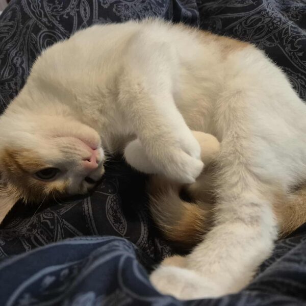 9f56d794-1626-459c-a90b-112a306d0e3d