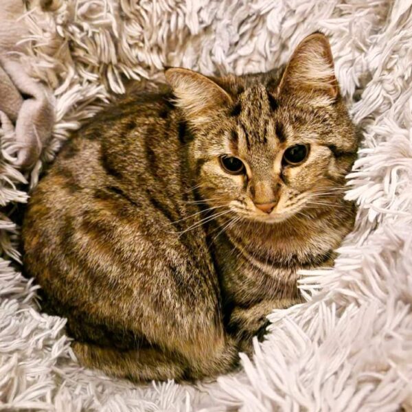 b11be577-2302-41bd-a2ba-65b7047e374e