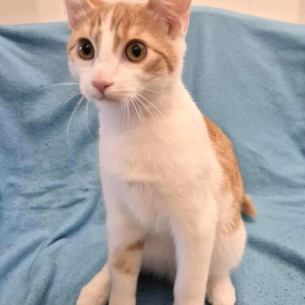 b5d5a48c-030e-4b93-9db3-2bf4cc6586fc