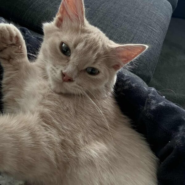 c2f6d856-0047-4736-b545-165cb8aaa49e