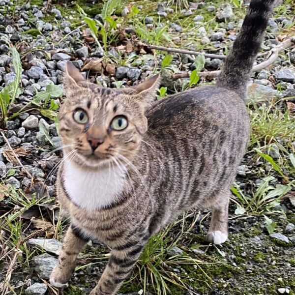 cefeacdd-29ce-44aa-b36f-dffca500ecee