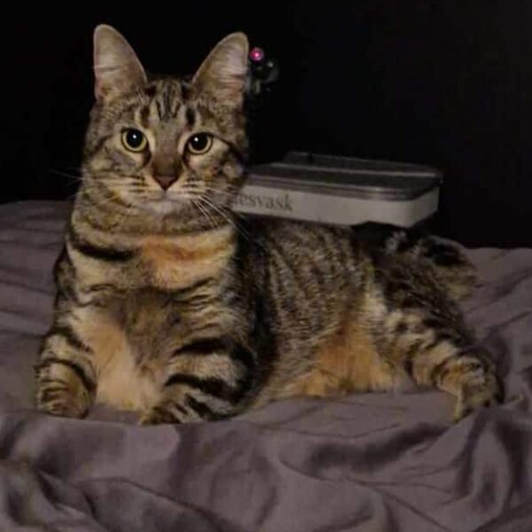 d47c8e7e-35c8-4d28-b67a-7199bbcde422