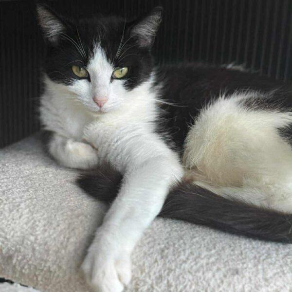 d65c500a-9a83-454f-8694-d8f96b50a95a