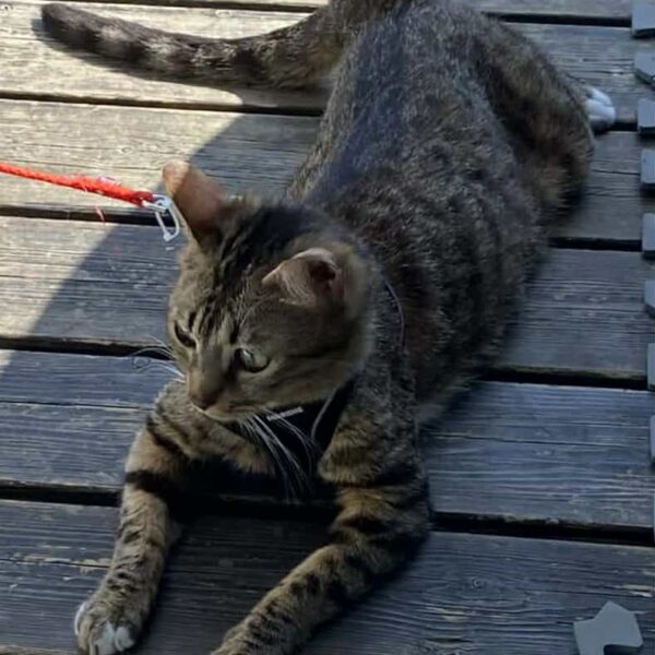 e78567bf-ce6d-429c-a2dc-4fca23d796ea