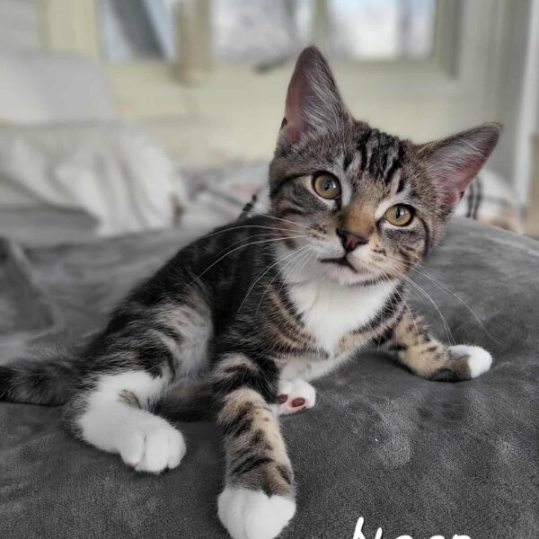 ec3161fd-efb0-4739-8597-5a069573eb5e