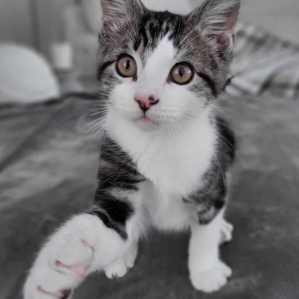 f15923e8-6746-4521-acc2-26de4993a88f (1)