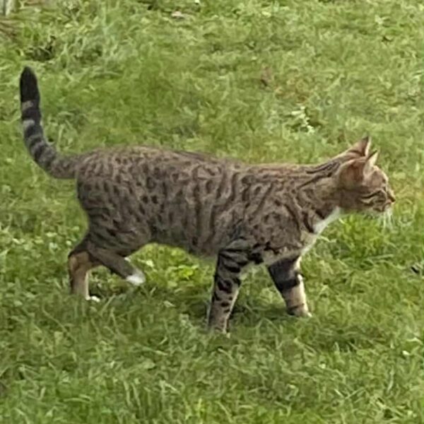 f4fe104e-05b1-4bbf-b6ff-0c493fdbd4a1