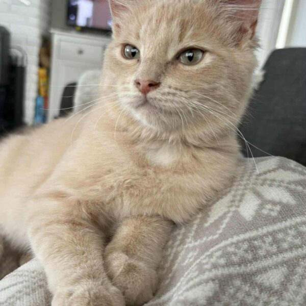 f6f1f185-aea6-474c-a1ea-17f55781d674