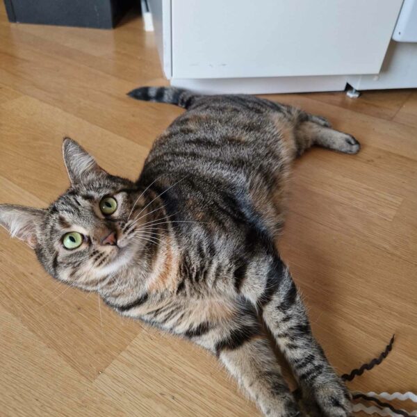 fb985387-087e-47e2-abac-cb932ece3007