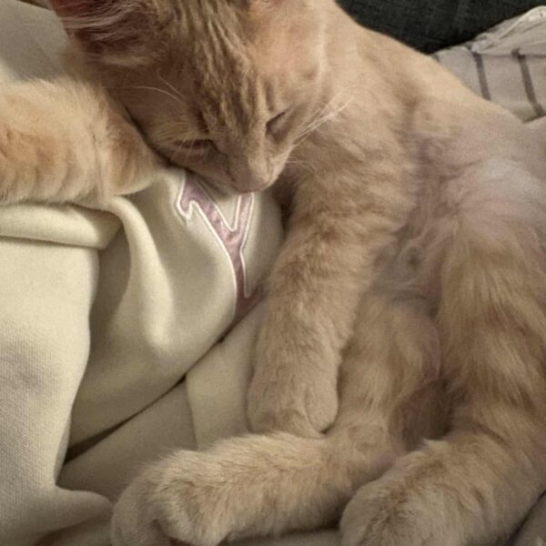 fe3526eb-7051-4fd2-a18a-8586bcb8ae78