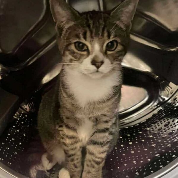 6f58b35d-42db-4a1c-8497-067ccc60858e