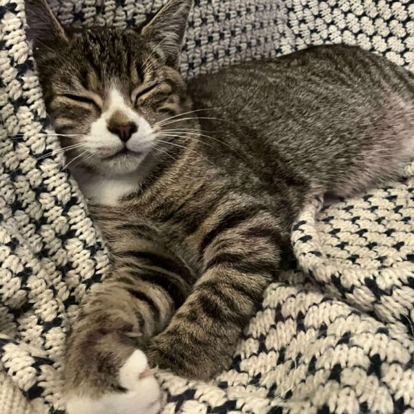 cd075bb6-7f1d-4930-af92-56fa0a9d3a87