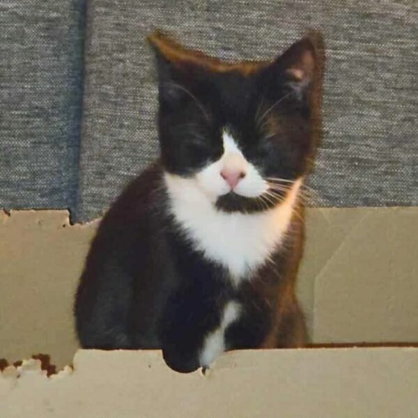 635479910_1968962537363977_4667824875620604058_n