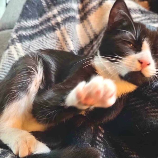 639548516_1362211582340407_7898061792977579346_n