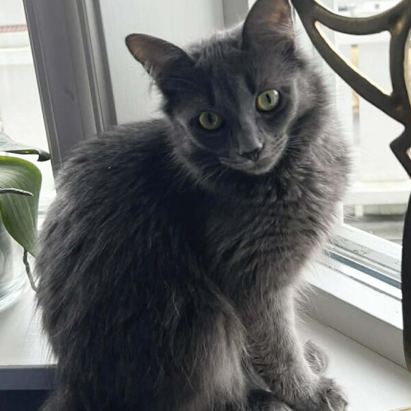 646508216_908497808597315_8327603634566938554_n