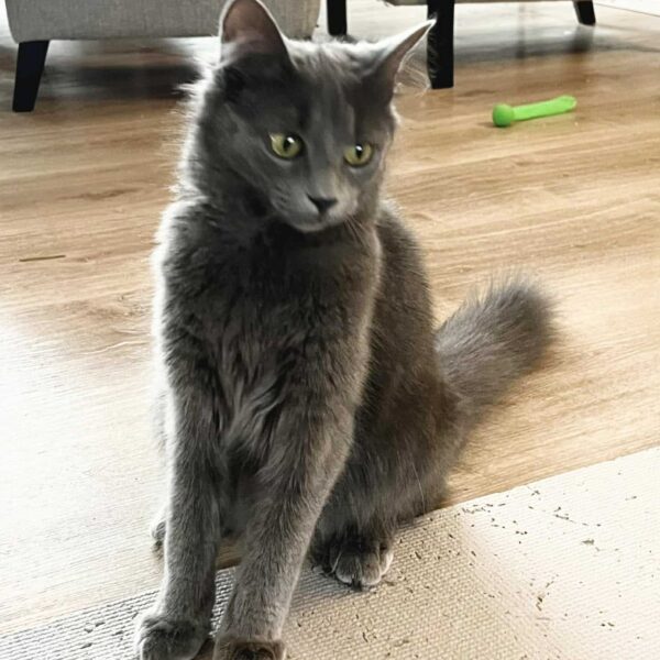 646873725_26182609128092079_3808764013267737252_n