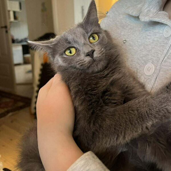 647302016_1679054986590350_4953923980550935270_n