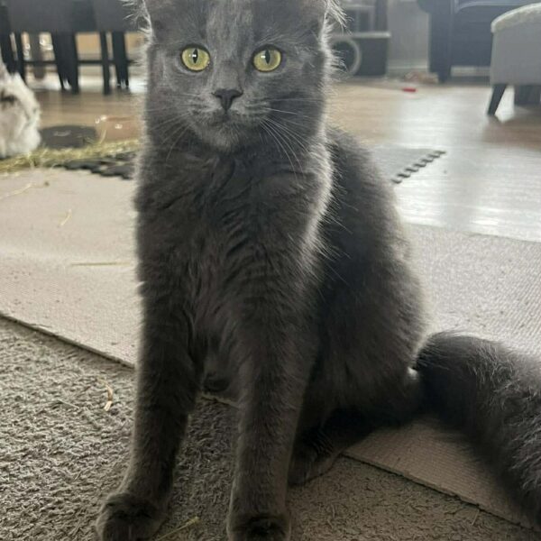 648291168_35226321366966682_8878733822090990642_n