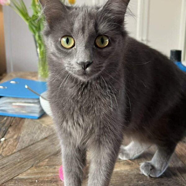 648777918_899823019548839_3367289351565729110_n