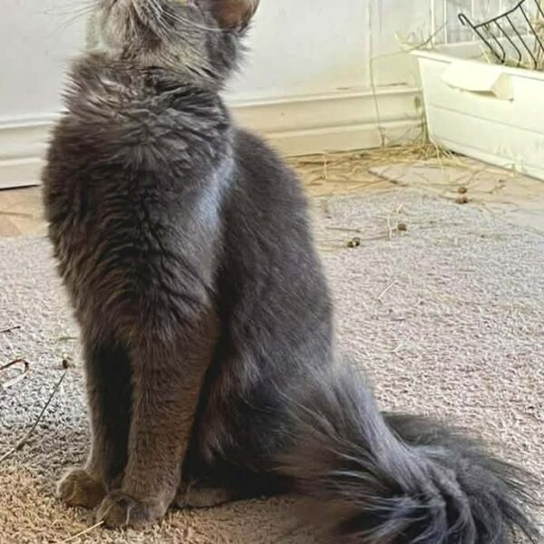 649685638_2695790797470167_5631056638340701456_n