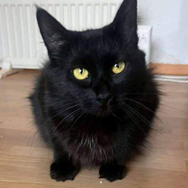 649859091_1479121203788109_7732778818688468611_n