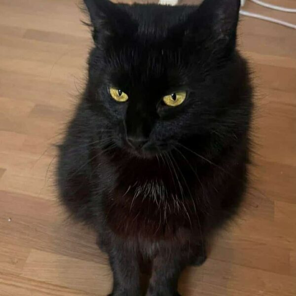 650295348_973399318460917_5782620154580329676_n