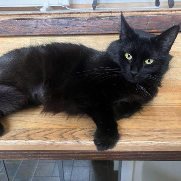 653442129_1621850575811922_2461215984042349862_n