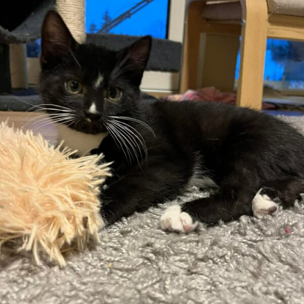 656220906_697719690070138_330156445424772730_n