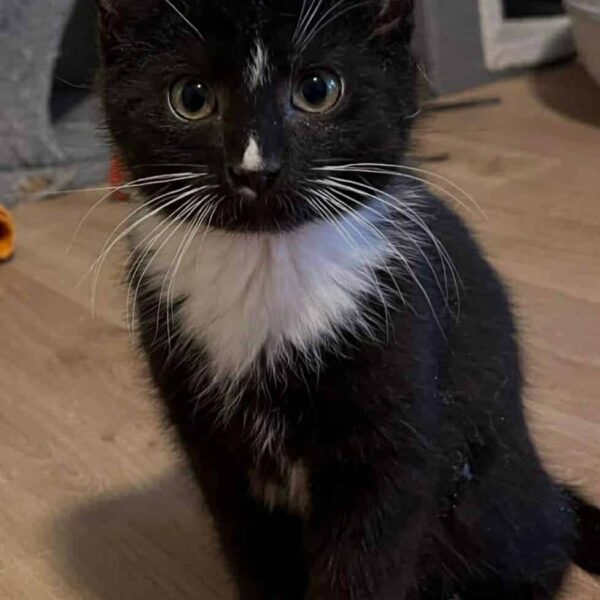 656871305_2184882348920054_3767069143538279931_n