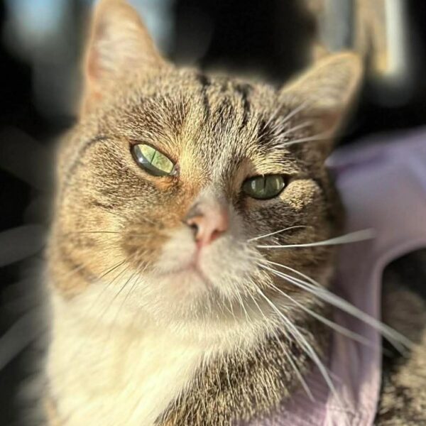 657246894_2108209016579154_5746667964633136981_n