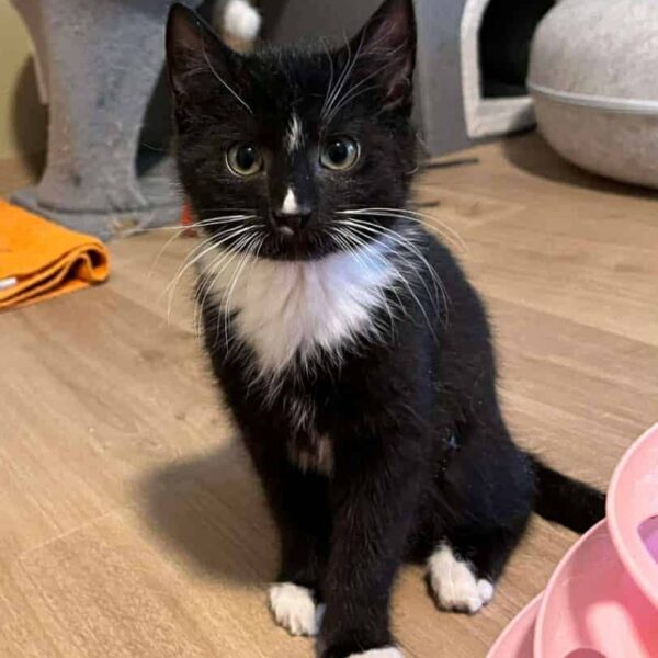 657290504_1966335344275078_5535597351748572774_n