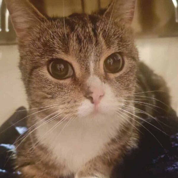 657558086_2031437831589389_5743312349032412524_n