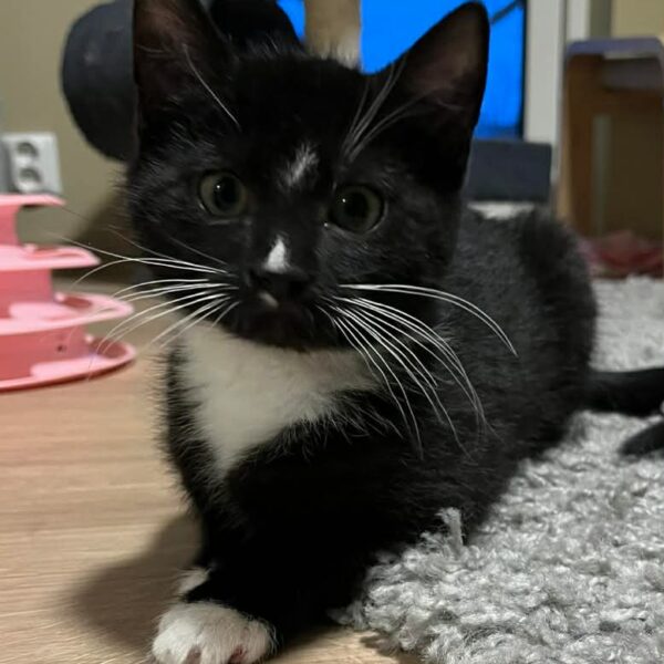 658966505_1439651677632469_4639967912463875750_n