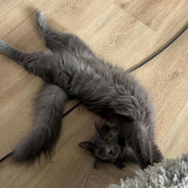 664924931_816555864836830_7649570288871845435_n