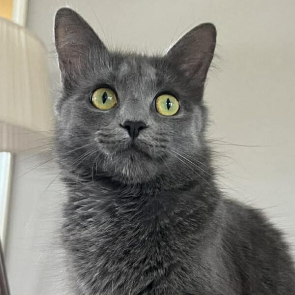 665745627_1493155892533054_1784338973258258423_n