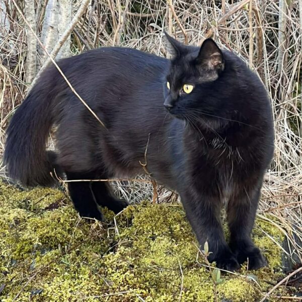 666738372_957159693459320_1269671931634554025_n