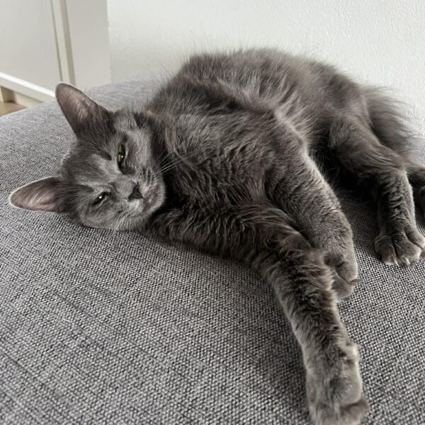 668123968_1878659512813484_9093802019025682265_n