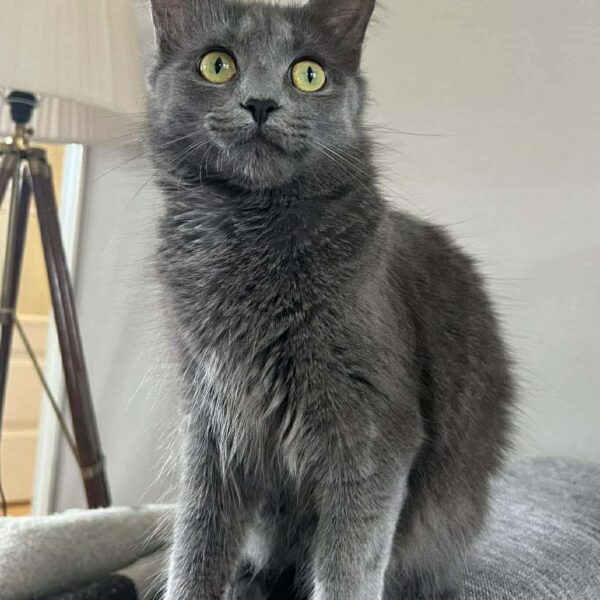 669685776_1486704622870211_5789769415515007079_n